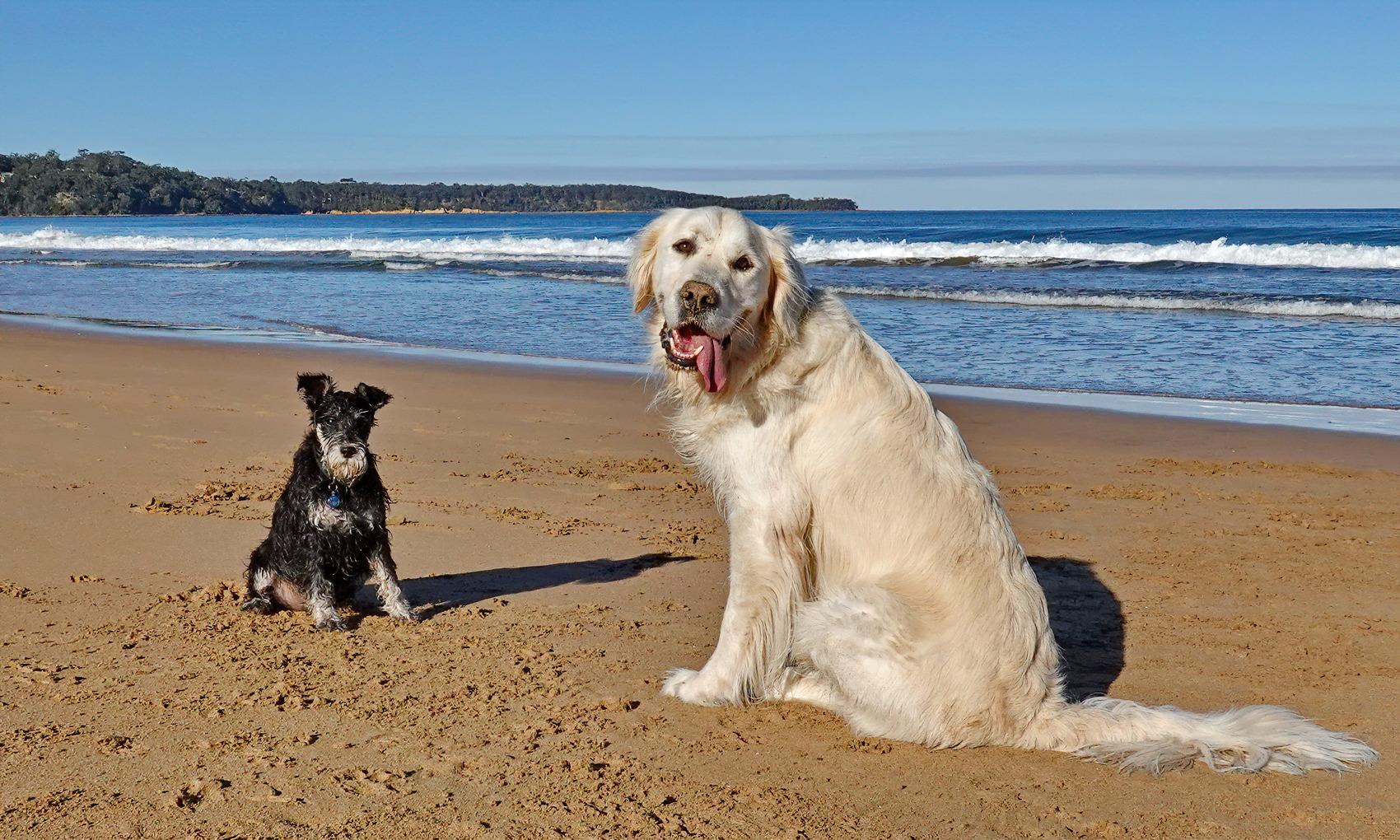 17ylJDvwSrpoZH7Wir28dl-t3nGy5z1Qr=s2048