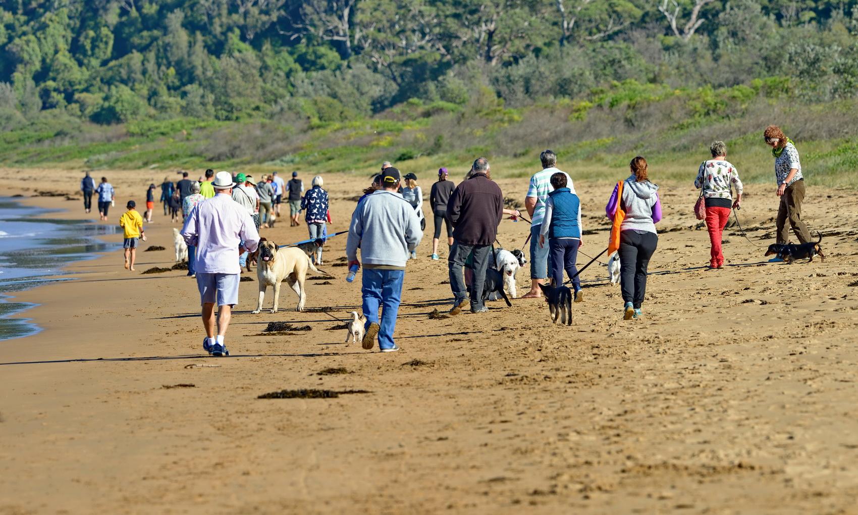 1x9D2xdC34RGelUkIyHEu-pUJKGq4fH84=s2048