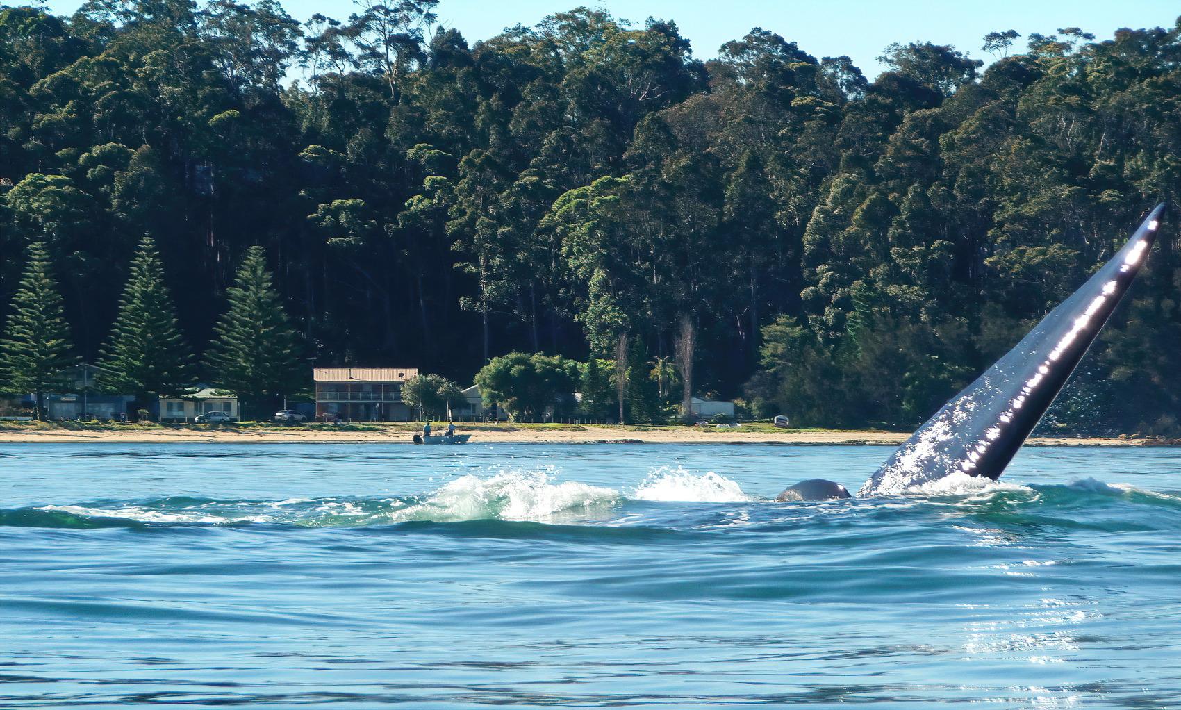 1ztmy57nQVihOrNc77vU4UzV5__-jaOUl=s2048