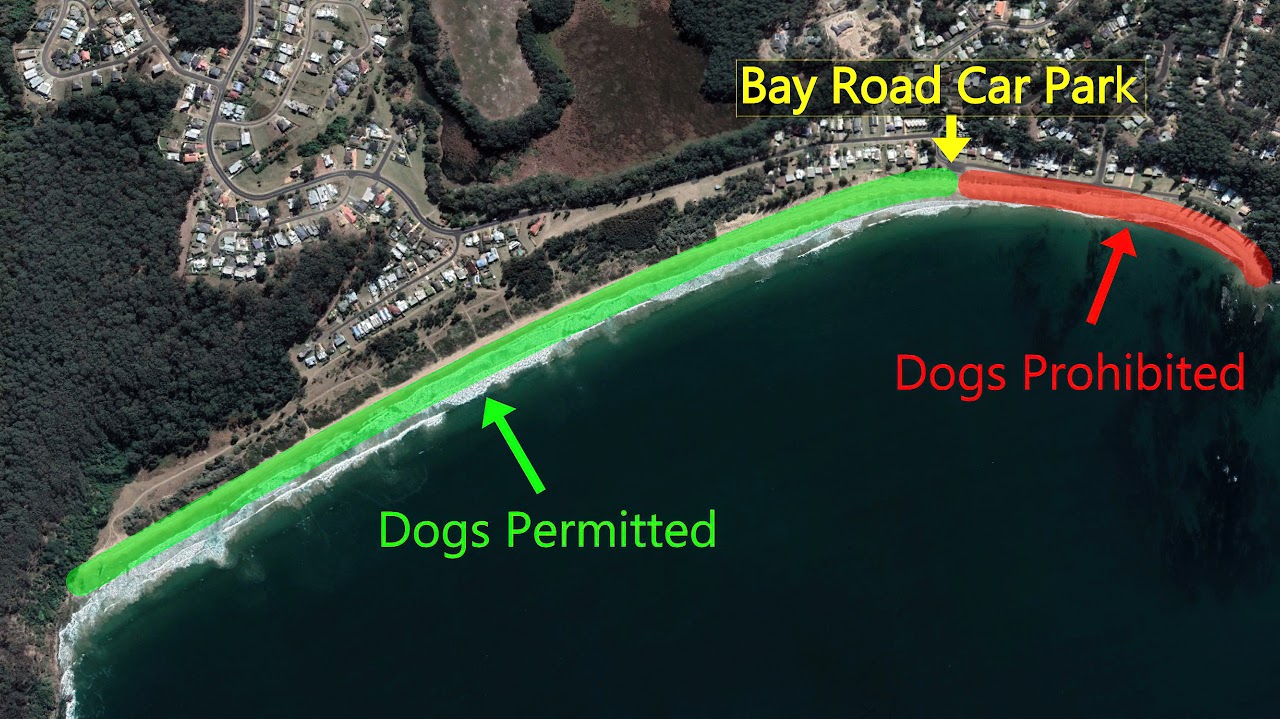 DogMap